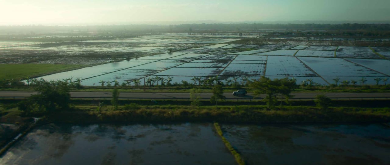 the killer paddy fields 